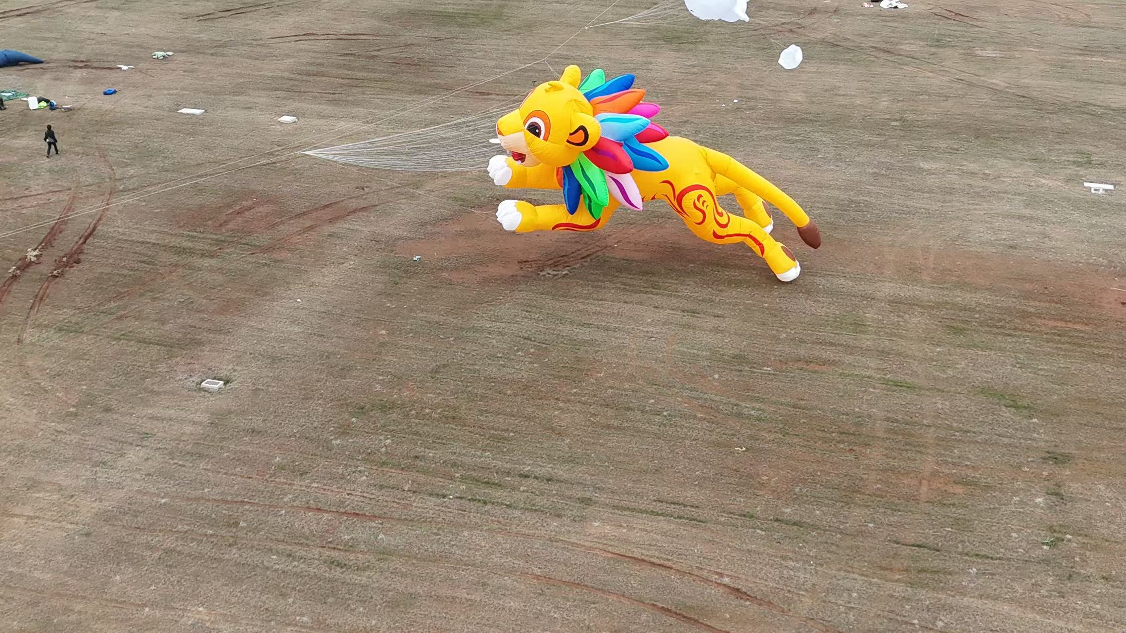 钦州市品牌风筝定制软体风筝定制 - 排名