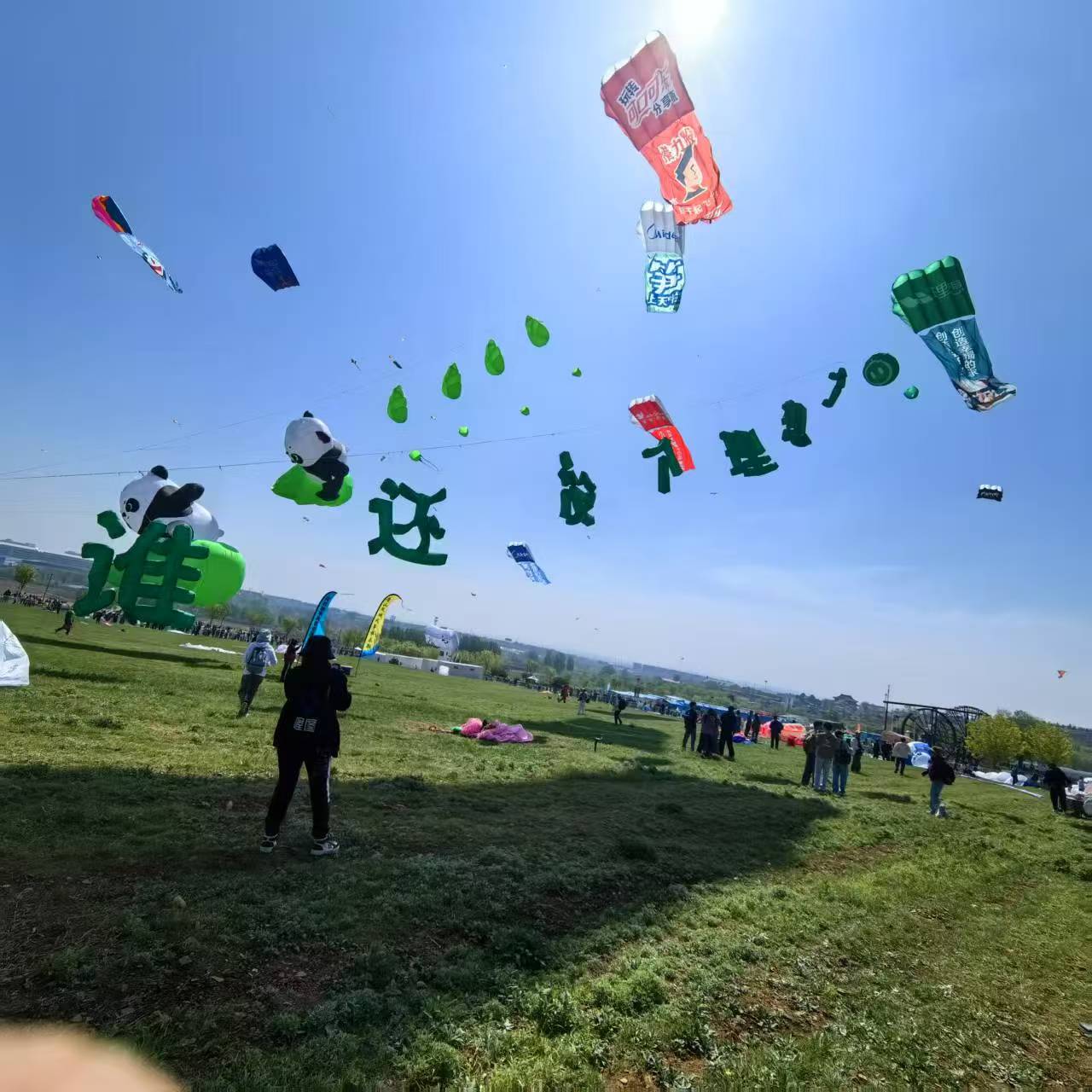 钦州市品牌风筝定制风筝定制 - 推荐